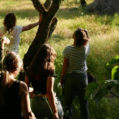 Casa Do Meio Em Quinta De Sao Pedro De Vir-A-Corca Monsanto Zewnętrze zdjęcie