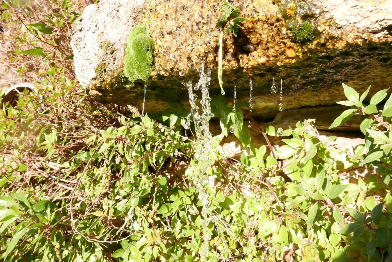 Casa Do Meio Em Quinta De Sao Pedro De Vir-A-Corca Monsanto Zewnętrze zdjęcie