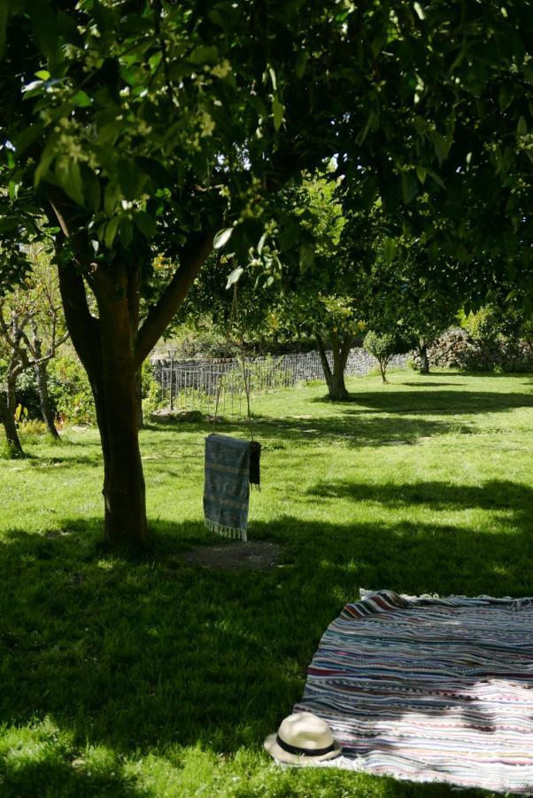 Casa Do Meio Em Quinta De Sao Pedro De Vir-A-Corca Monsanto Zewnętrze zdjęcie