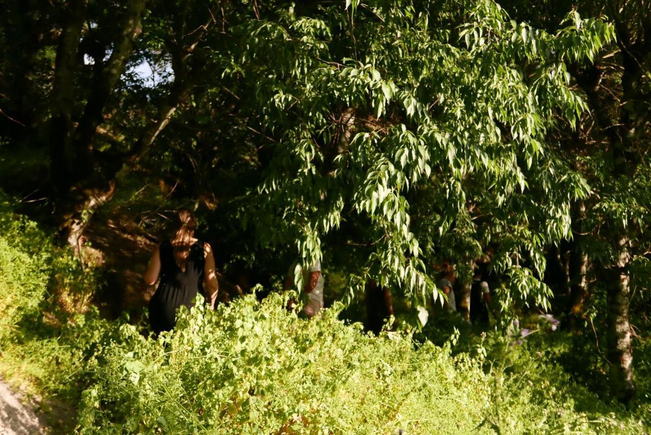Casa Do Meio Em Quinta De Sao Pedro De Vir-A-Corca Monsanto Zewnętrze zdjęcie