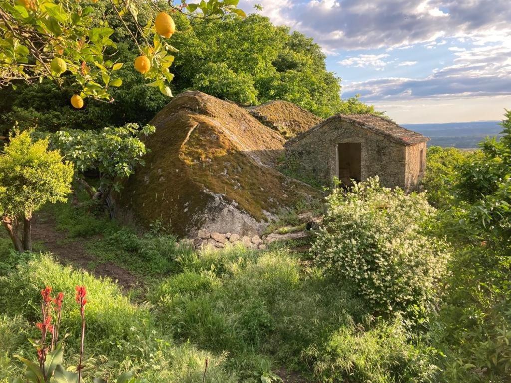Casa Do Meio Em Quinta De Sao Pedro De Vir-A-Corca Monsanto Zewnętrze zdjęcie