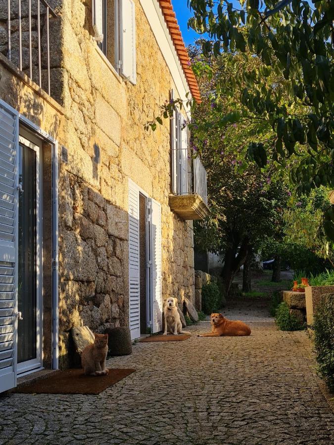Casa Do Meio Em Quinta De Sao Pedro De Vir-A-Corca Monsanto Zewnętrze zdjęcie