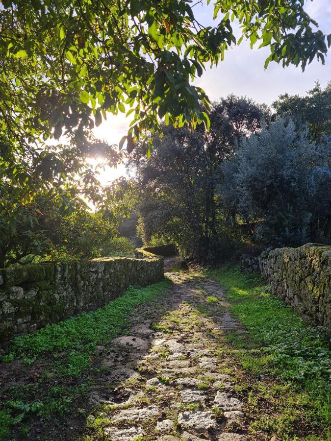 Casa Do Meio Em Quinta De Sao Pedro De Vir-A-Corca Monsanto Zewnętrze zdjęcie
